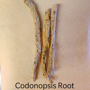Codonopsis Root.