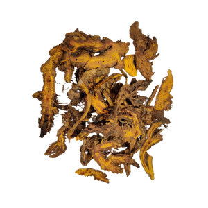 Huang Lian - 黄连 - Rhizoma Coptis - Goldthread Root