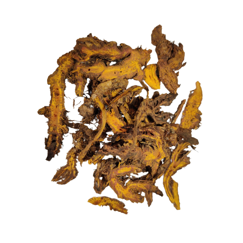 Huang Lian - 黄连 - Rhizoma Coptis - Goldthread Root